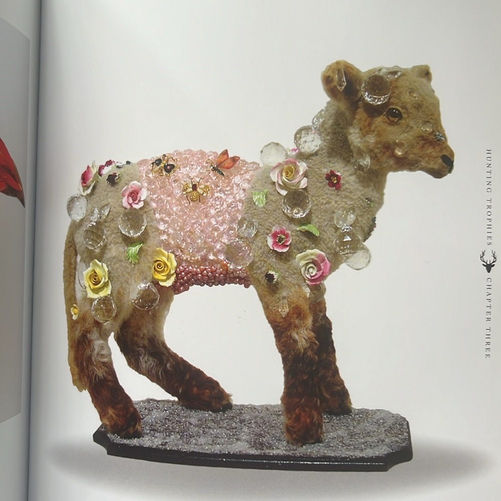 The art of Taxidermy - Picture 3 of 6